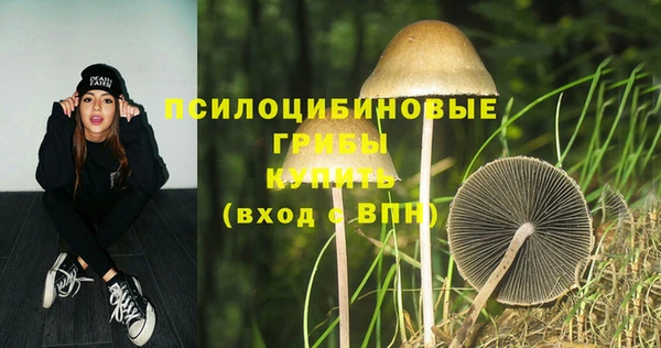 метамфетамин Верея