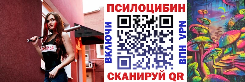 Купить  Лыткарино  Псилоцибиновые грибы Psilocybine cubensis 