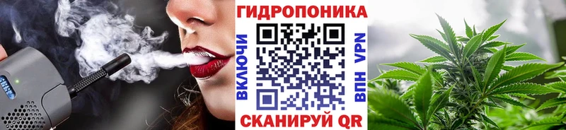 Купить закладки  Лыткарино  Конопля планчик 